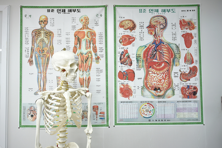 실습모습